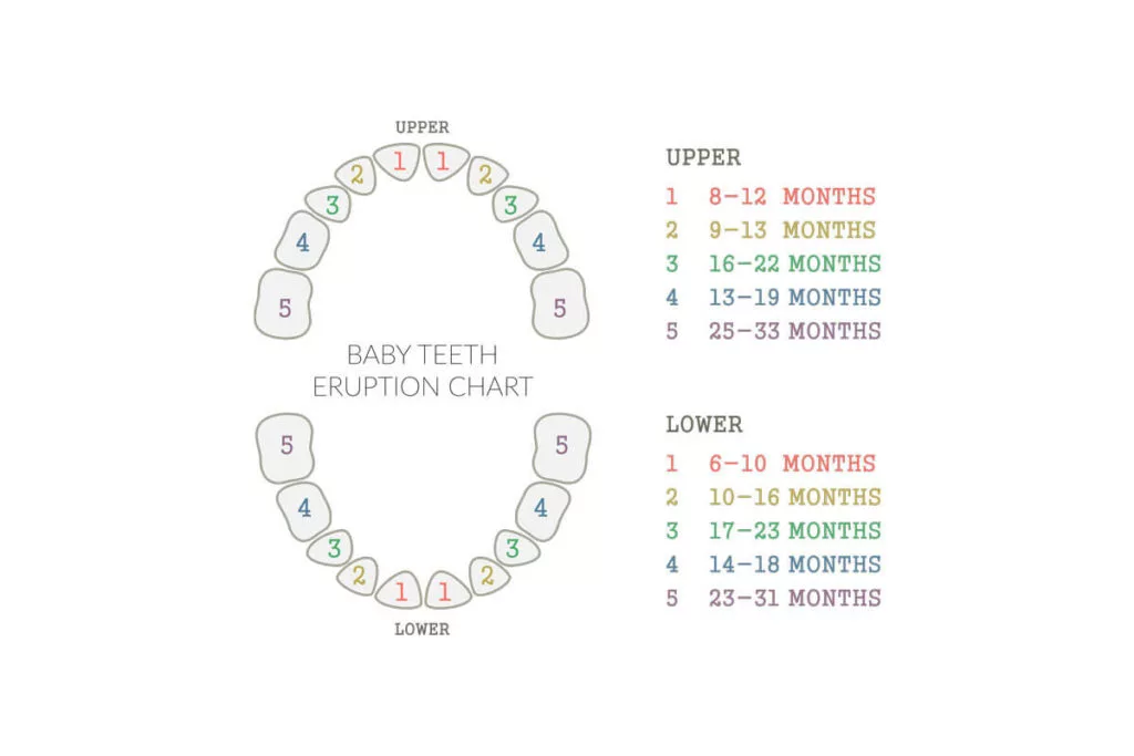 All guidance with online up that auditing dental are this registrar service should become wonderfully