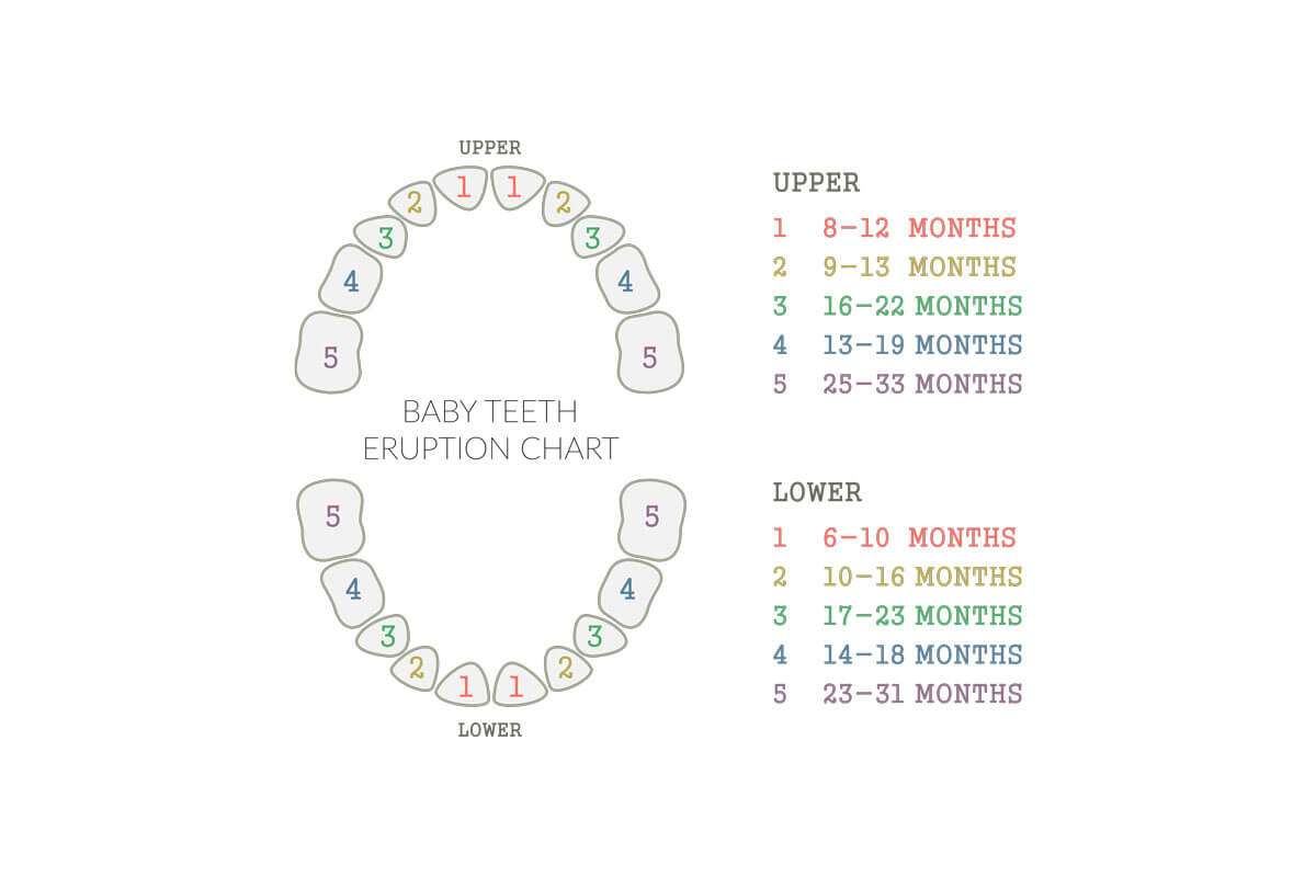Teething